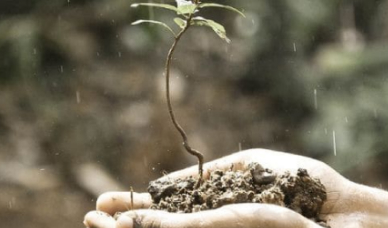 Featured image for “Lorem Ipsum”